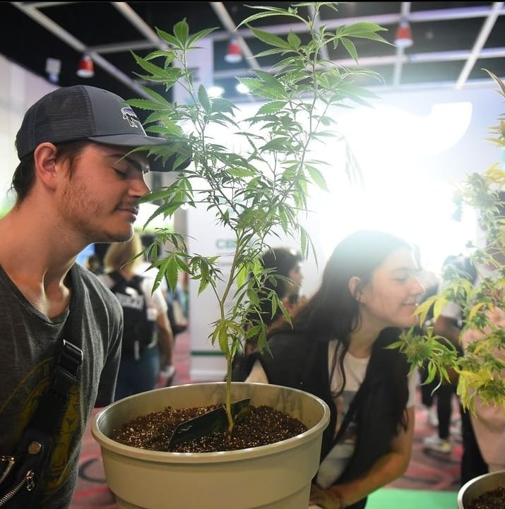 Foto: Expo Cannabis