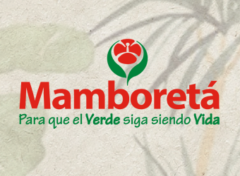 Mamboreta
