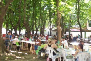 Fiesta caide 003