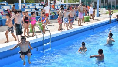 Inicio Escuelas de Verano 2020