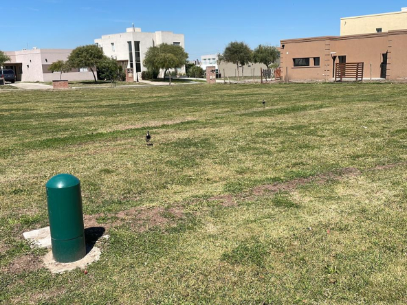 Excelente Lote en San Ramiro