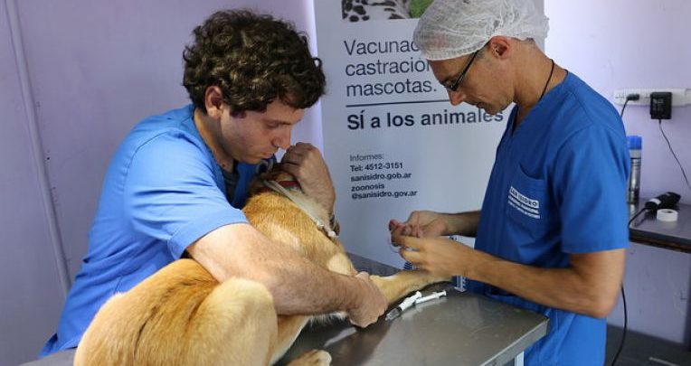 Zoonosis
