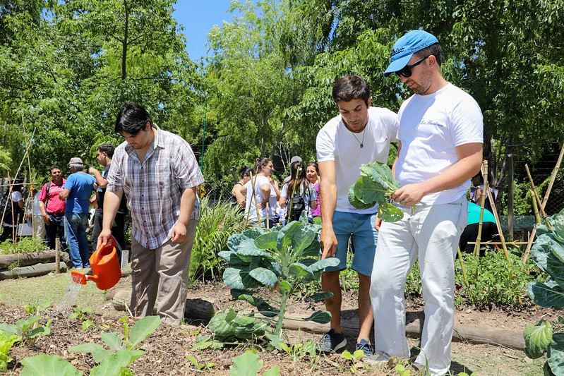 Huerta en casa
