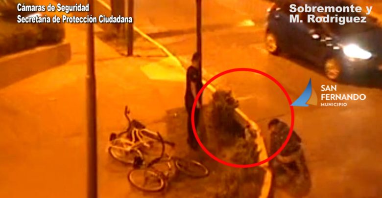Rescate perro defensa civil San Fernando