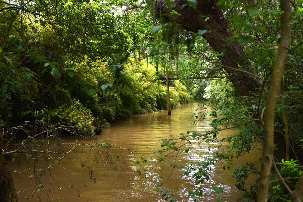 Delta del Tigre