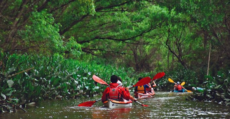 Recomendaciones para navegar y disfrutar del Delta