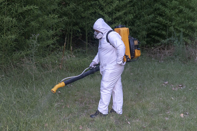 Lucha contra el dengue