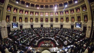Cámara de diputados