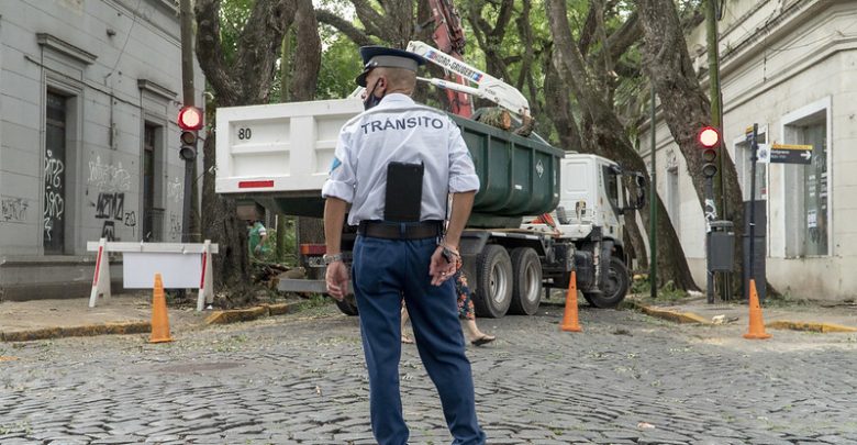 Corte en Primera Junta