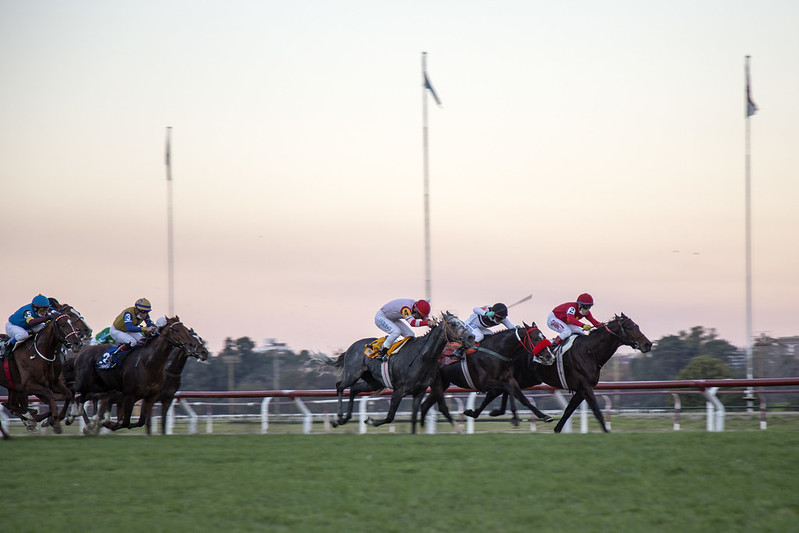 Gran Premio 25 de Mayo