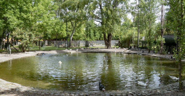 Chacra San Isidro Labrador