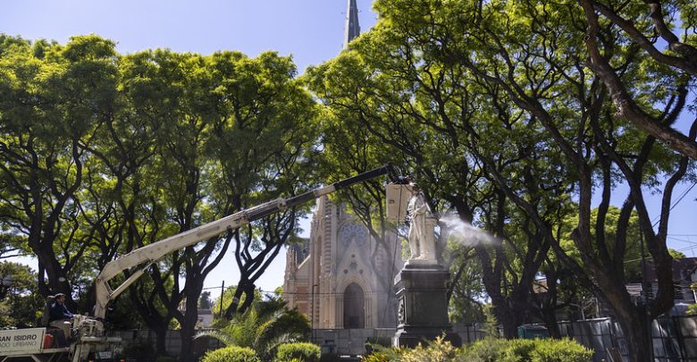 Obras en Plaza Mitre