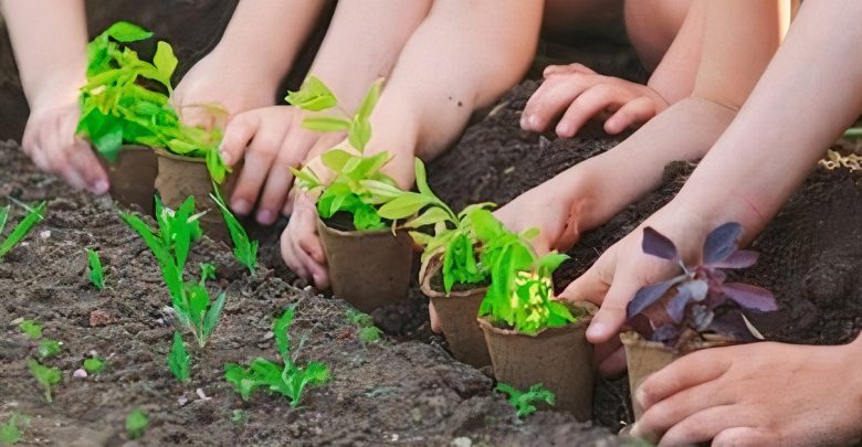 Taller de huerta