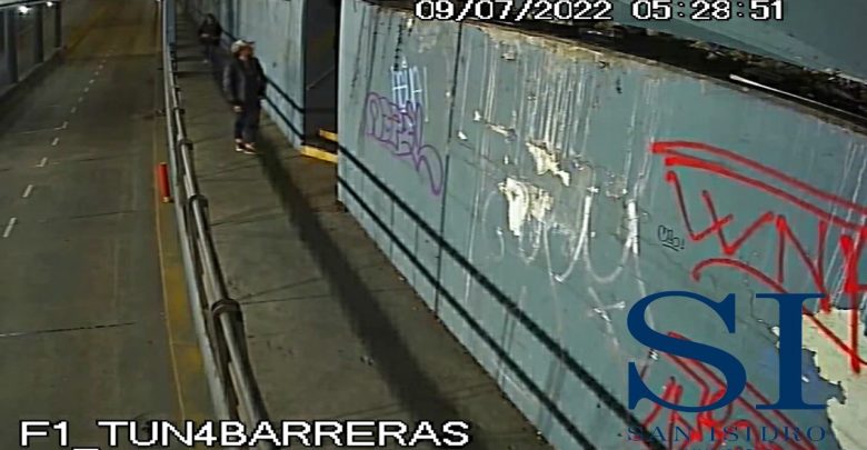 Pintadas