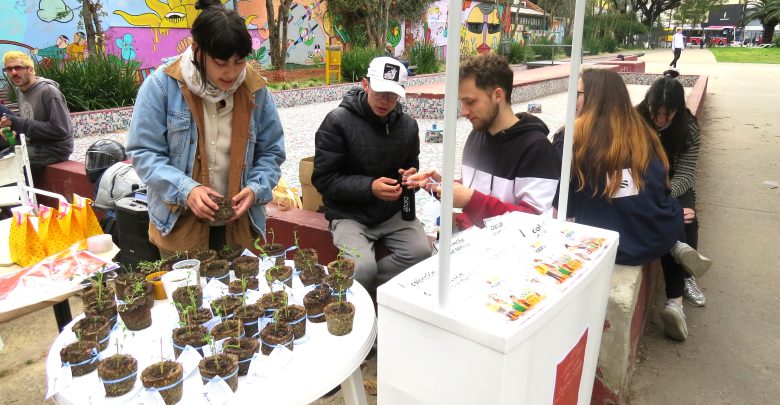 Entrega de plantines