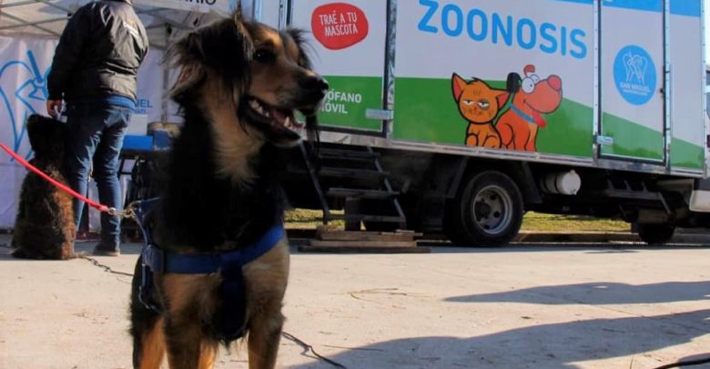 Quirófano móvil de zoonosis en San Miguel