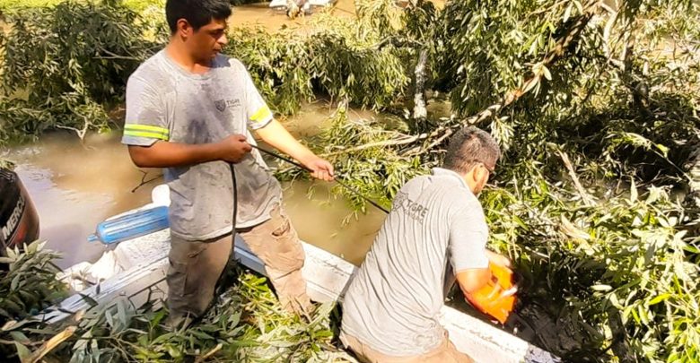 Tareas de mantenimiento y destronques en Tigre