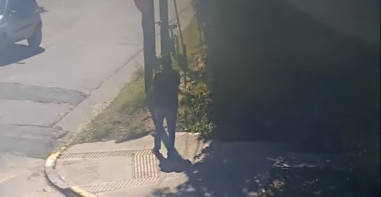 Imagen del delincuente