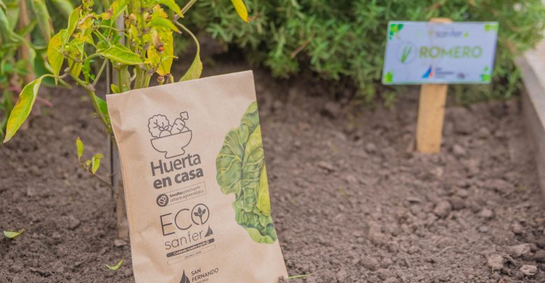 Huerta en Casa