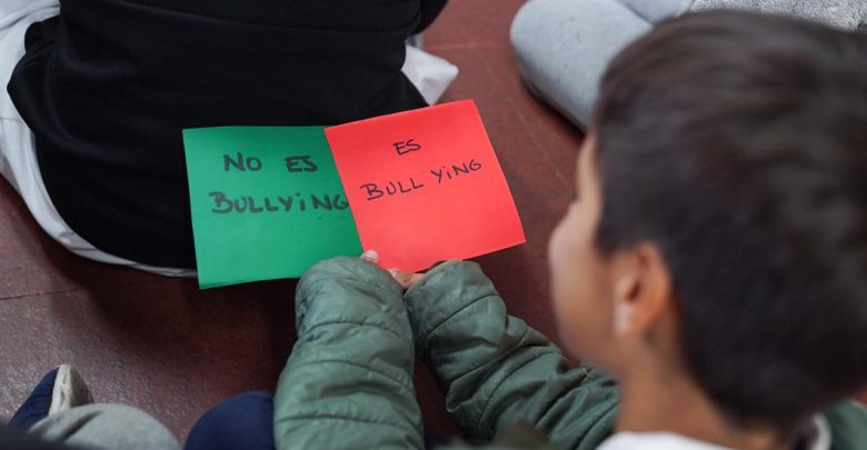 Programa para combatir el bullying