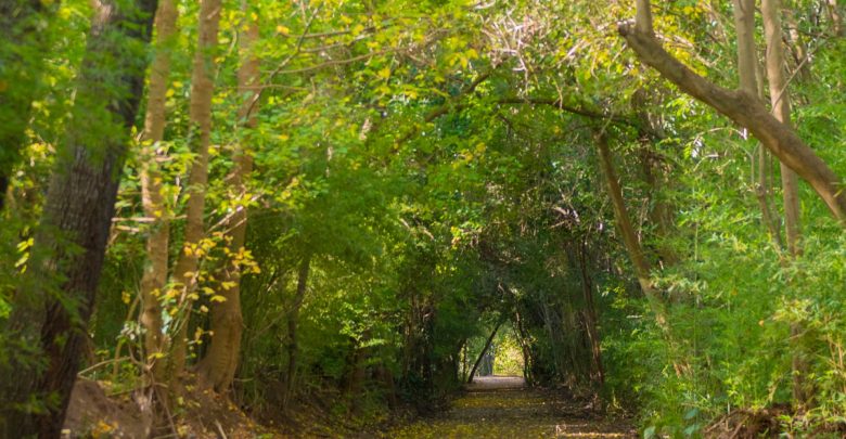 Reserva Ecológica que San Fernando y la UNLU