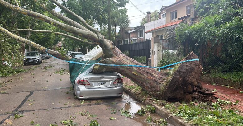 Auto destruido en Beccar
