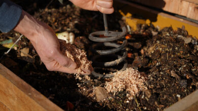 compost
