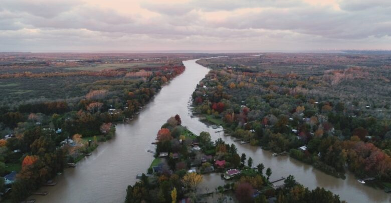 Tigre celebra el Día Mundial del Ambiente