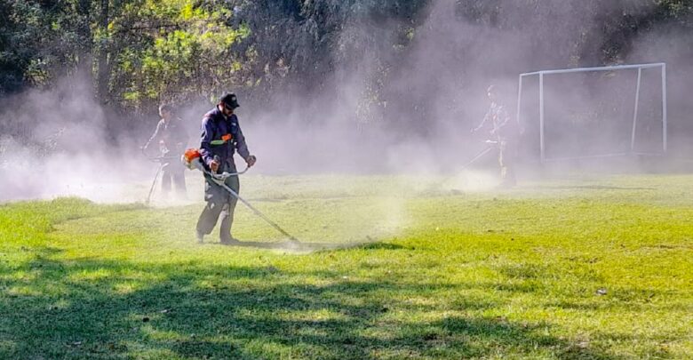Labores de mantenimiento integral en el Delta