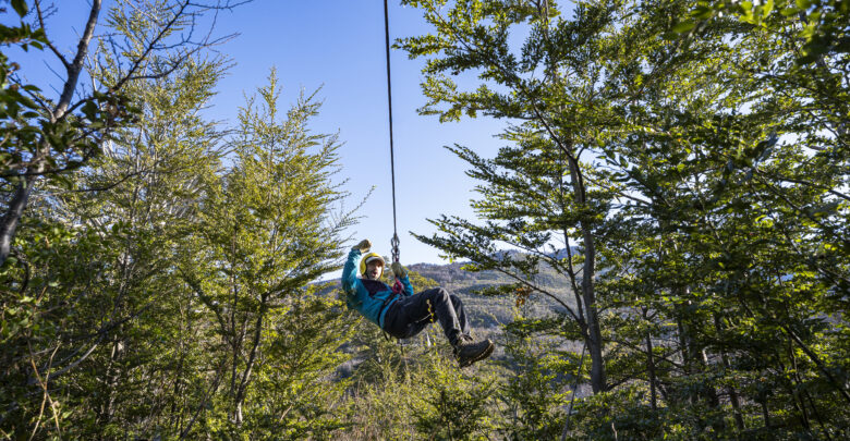 Canopy