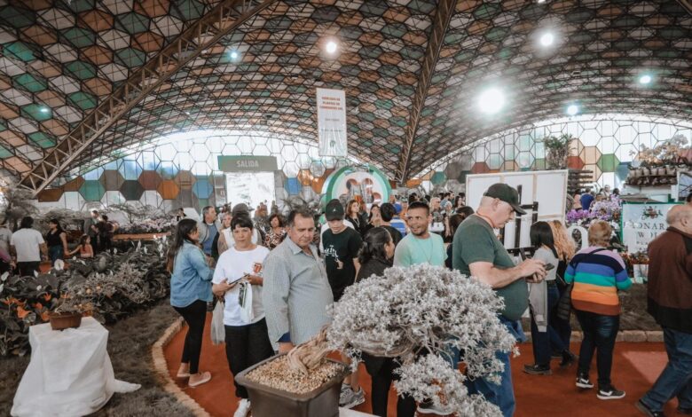 62ª Fiesta Nacional de la Flor