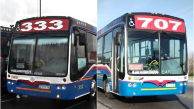 Lineas 707 333