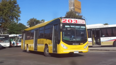 Línea 203