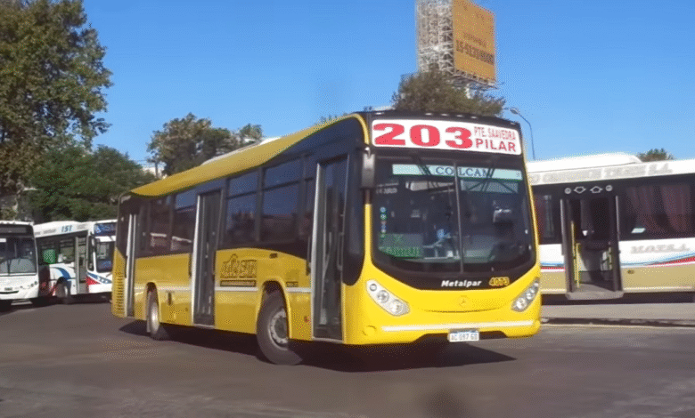 Línea 203