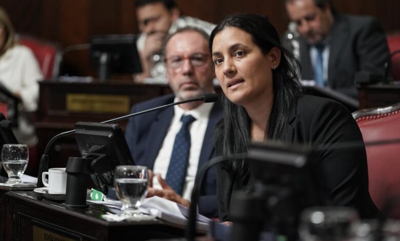 Sofía Vannelli , Diputada Provincial. Fte. Renovador