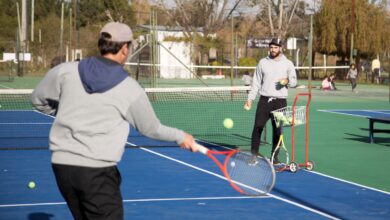 Tenis