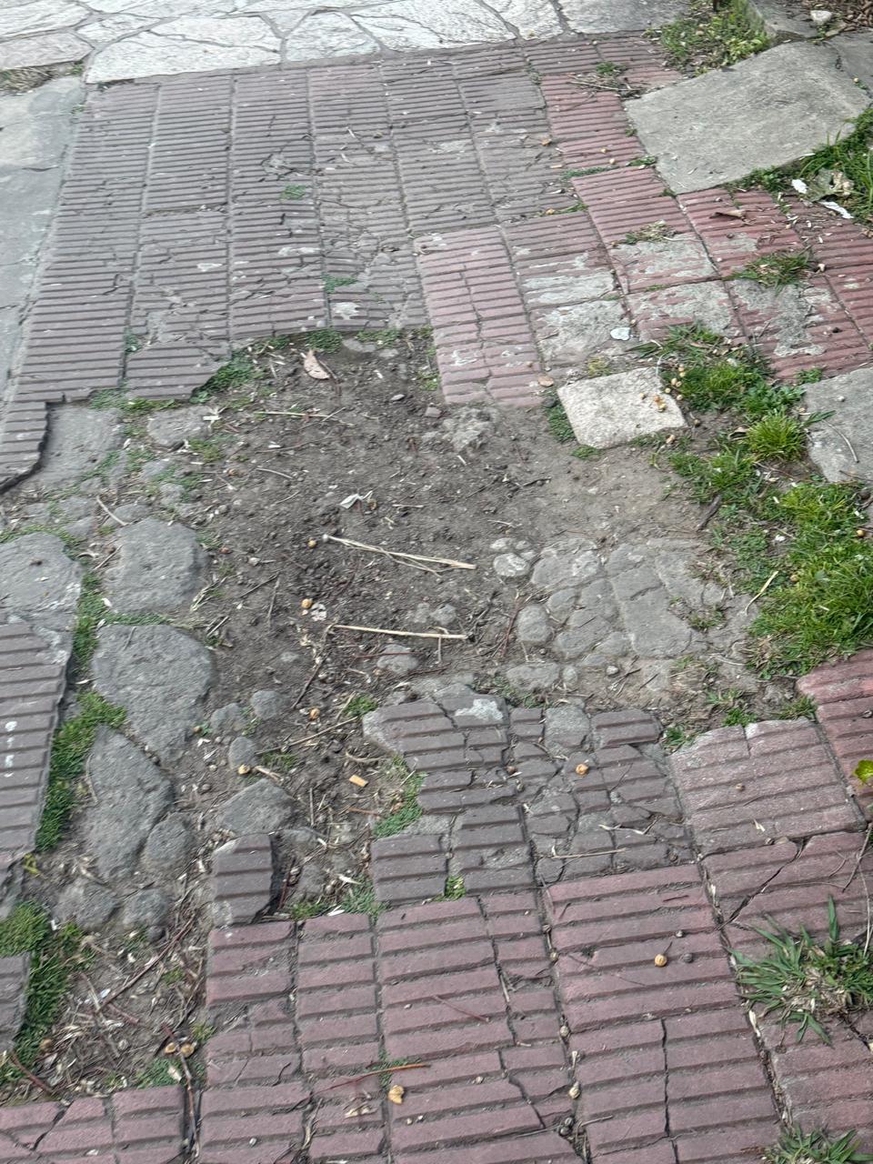 Veredas destruidas