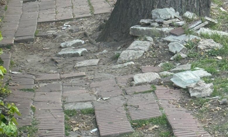 Veredas destrozadas en Béccar
