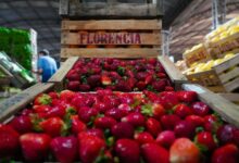 Fiesta de la Frutilla
