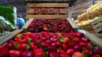 Fiesta de la Frutilla