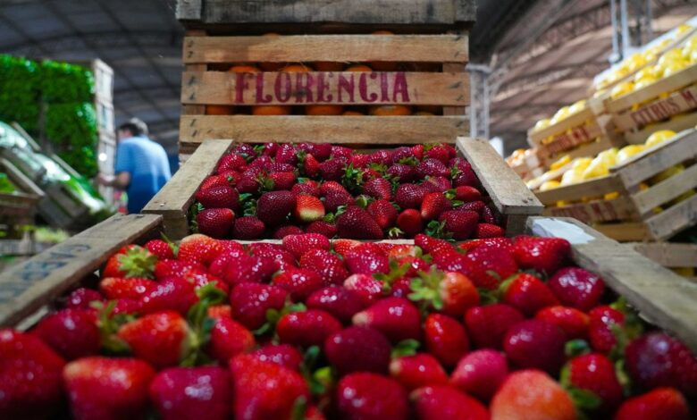 Fiesta de la Frutilla