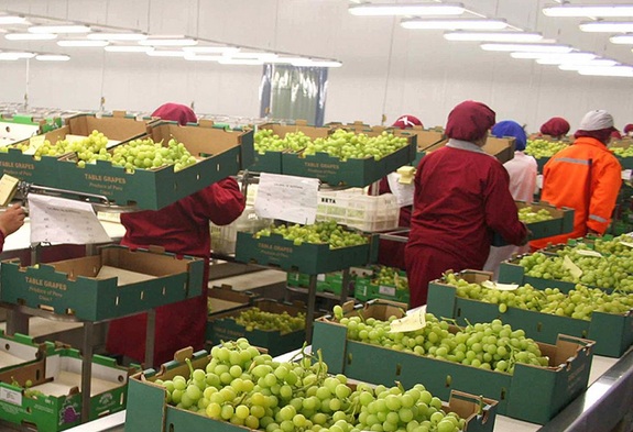 ExportacionesArgentinas