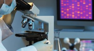 InvestigacionCancer