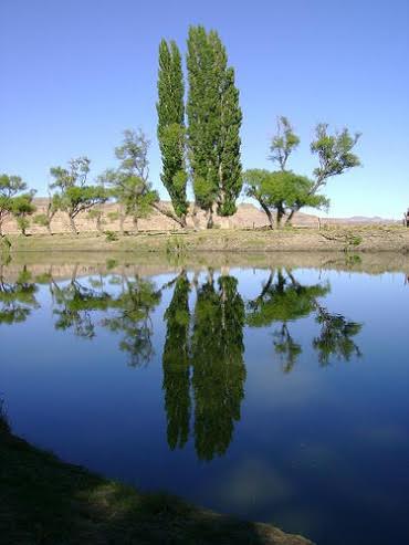 PasodelSapo10
