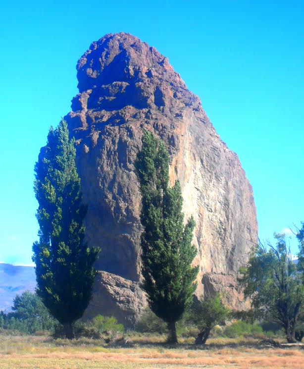 PasodelSapo2