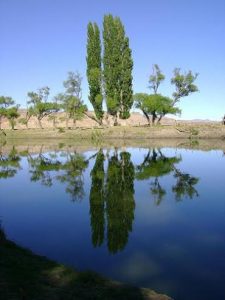 PasodelSapo10-225x300
