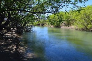 PasodelSapo6-300x200