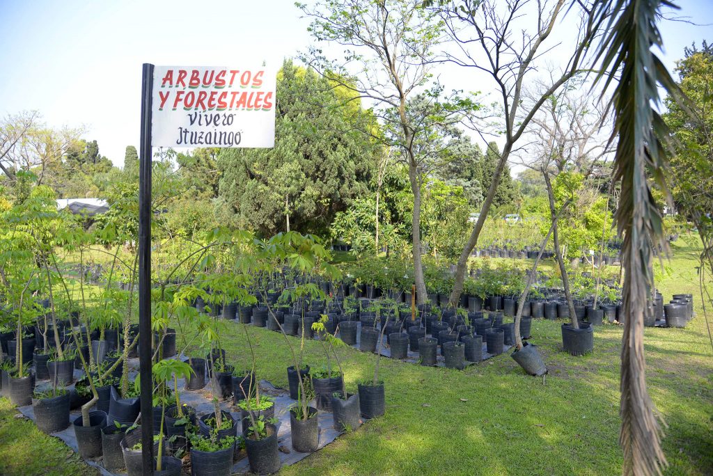 Vivero de la Ciudad (2)
