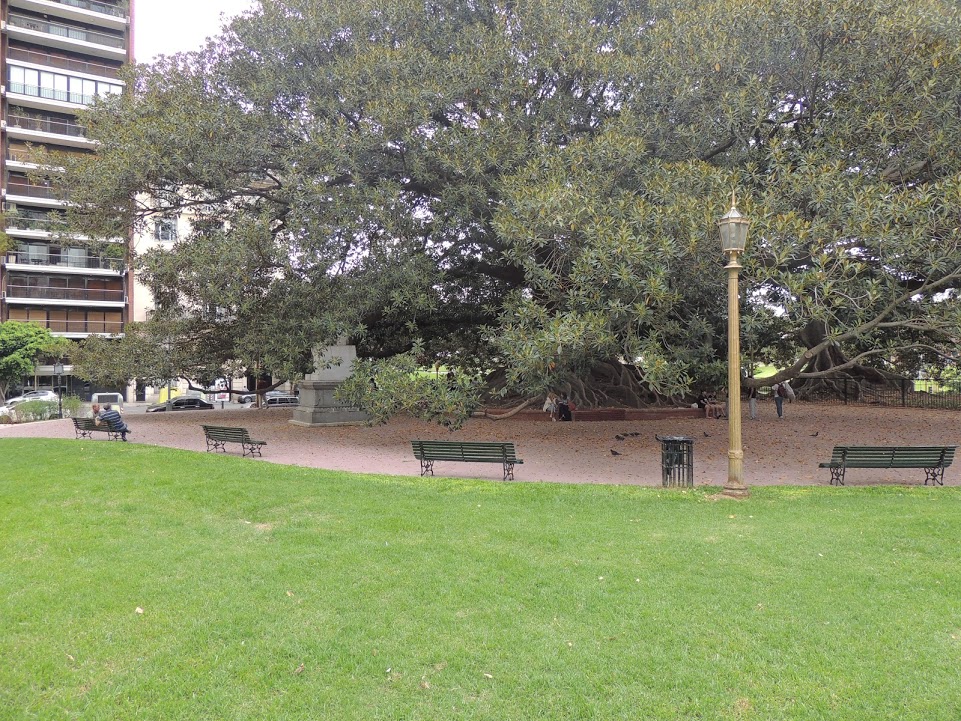 PlazaSanMartinDeTours