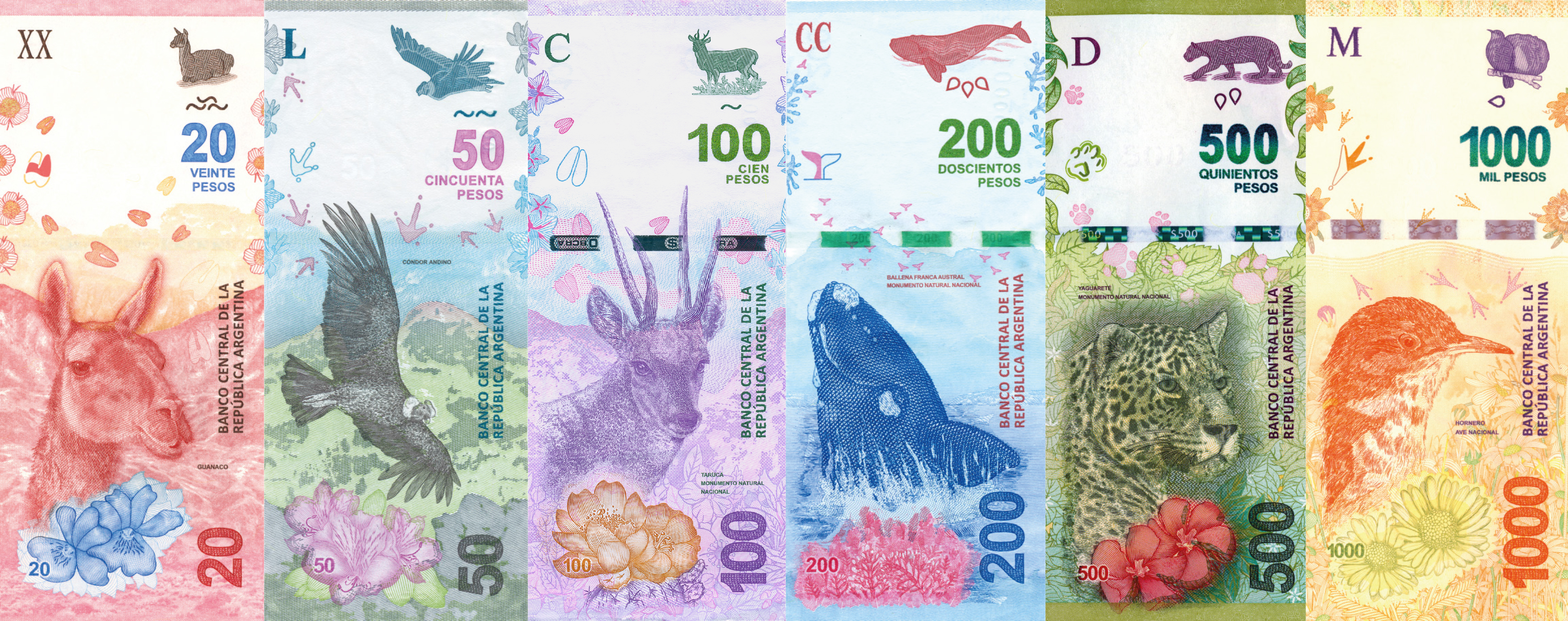 Anversos Familia Billetes Animales